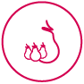 PR