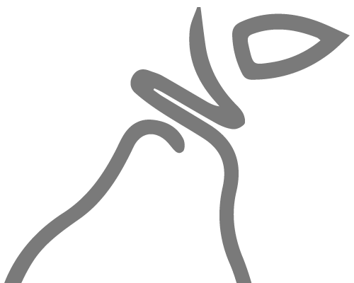 para-1